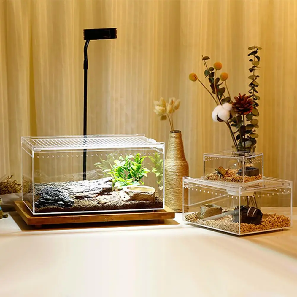Transparent Reptile Breeding Box - Image 4