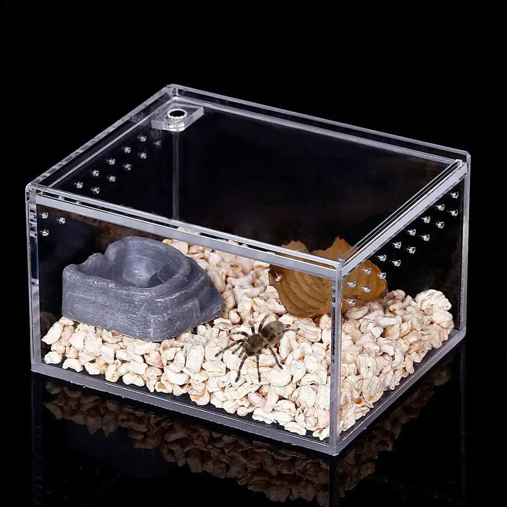 Acrylic Reptile Breeding Box - Image 6