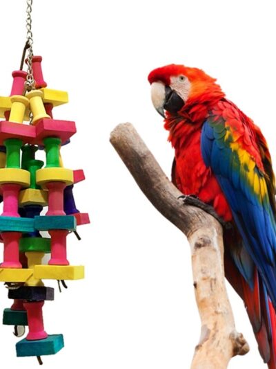 Parrot Chewing Toy