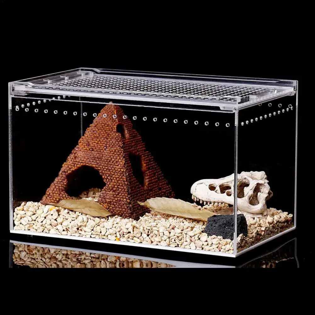 Transparent Reptile Breeding Box