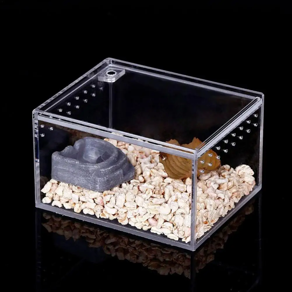 Transparent Reptile Breeding Box - Image 2