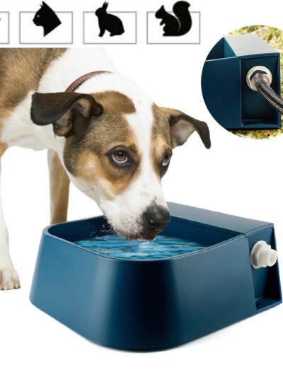 Water Storage Bowl with Floating Ball Automatic Dispenser