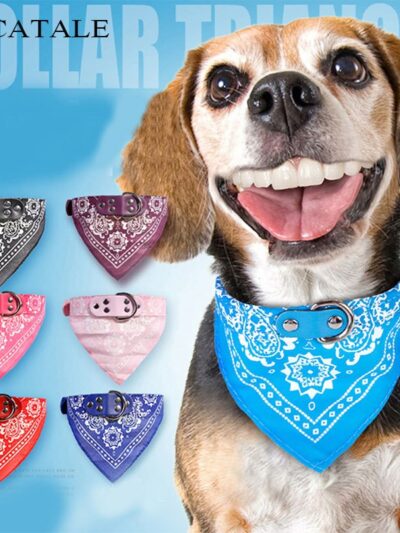 Micatale Collar Bandana