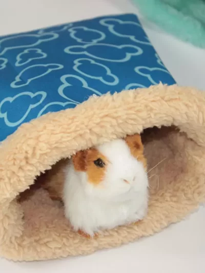 New Pet Guinea Pig Sack