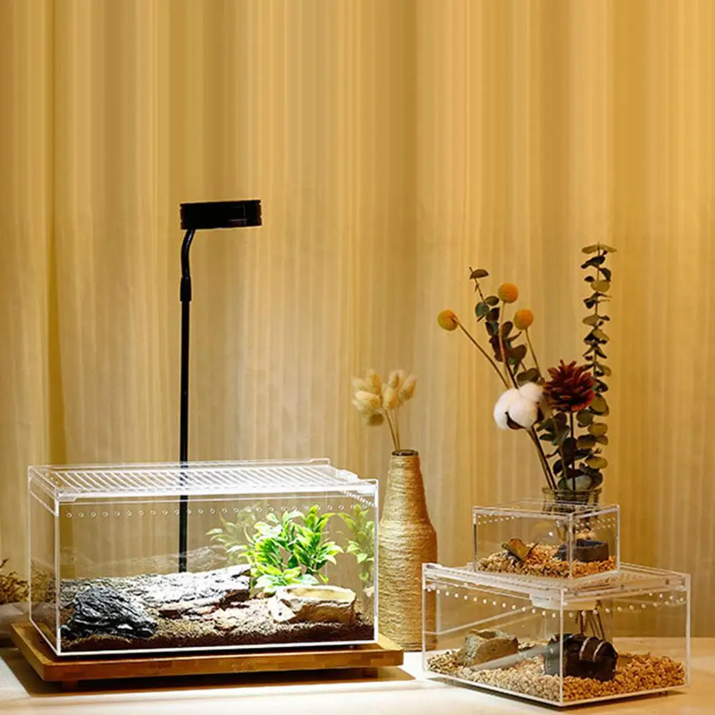 Acrylic Reptile Breeding Box - Image 4