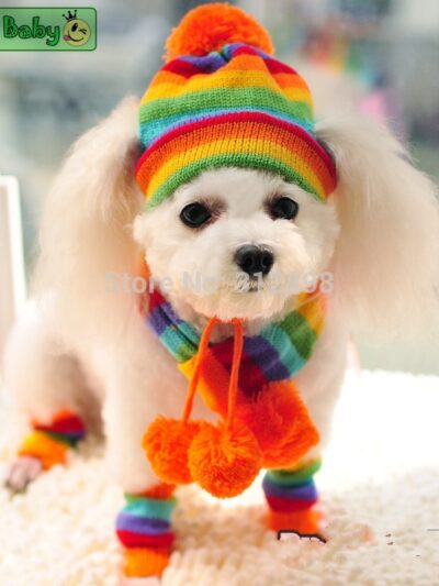 Knitted Hat Scarf Accessories