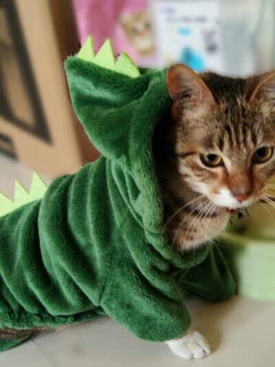 Kitty Dinosaur Costume