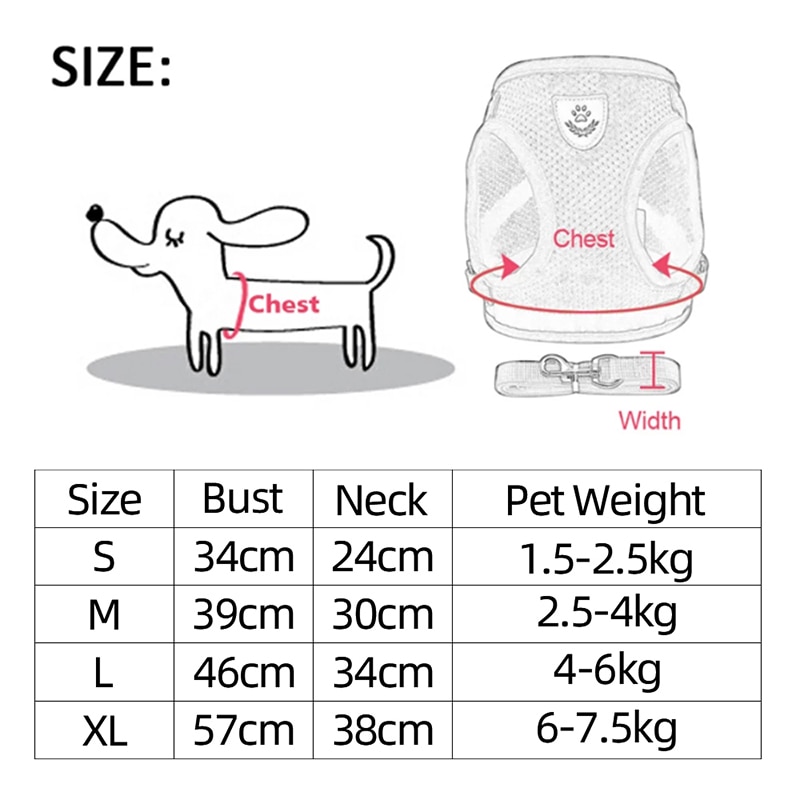 Dog Harness With Walking Leash - Image 5