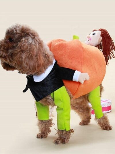 Pumpkin Dog Cosplay