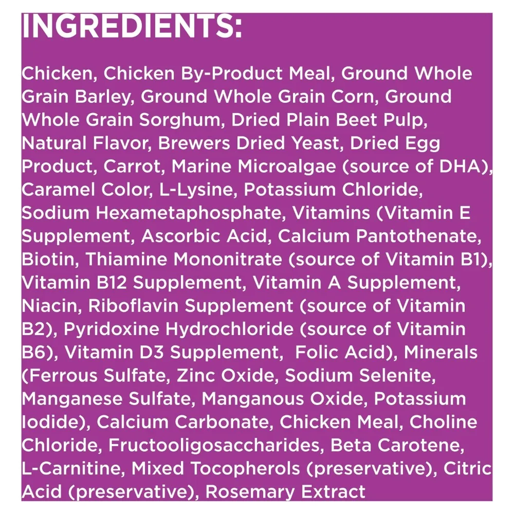 IAMS Healthy Aging Adult Dry Dog Food for Mature and Senior Dogs with Real Chicken, 29.1 lb. Bag - Image 4