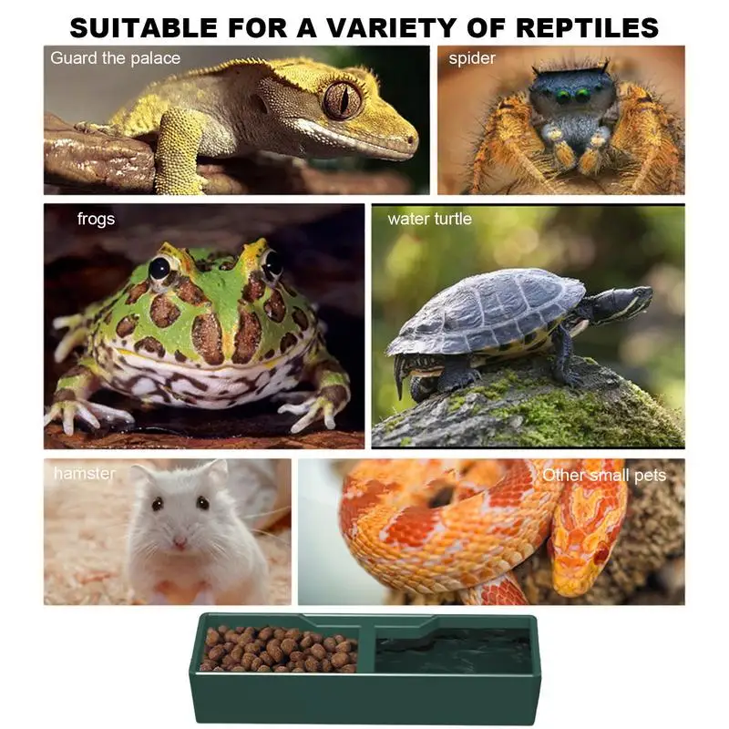 Reptile Feeder Water Food Feeding Plastic Bowl - Image 5
