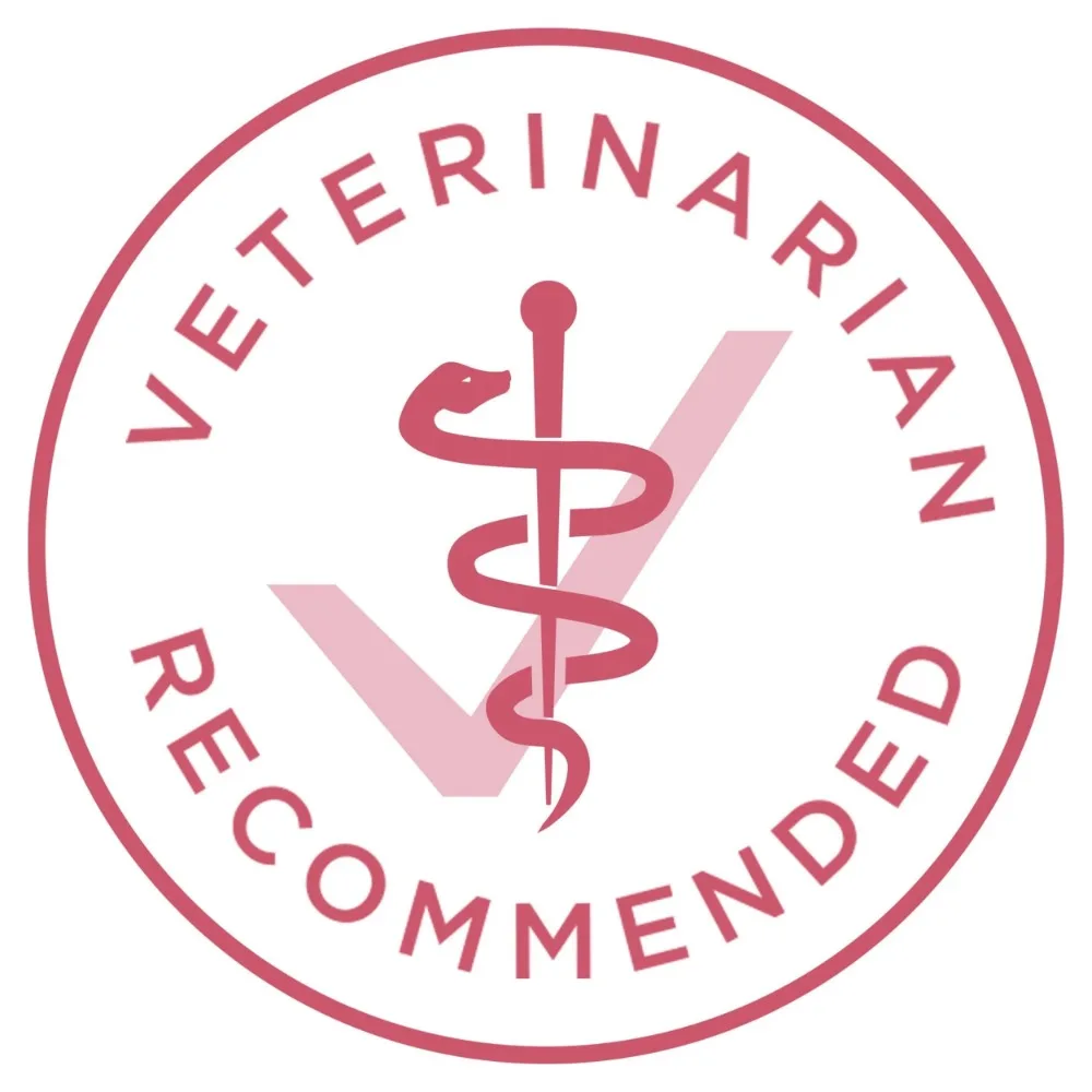 Purina One +Plus Dry Dog Food for Adult Dogs Skin & Coat, High Protein, Real Salmon, 31.1 lb Bag - Image 5