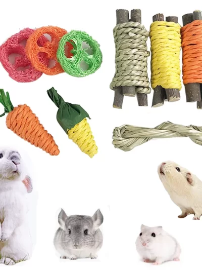9Pcs Pet Rabbit Chew Toy Sets