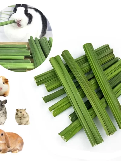 20g Natural Dried Papaya Stem Toy