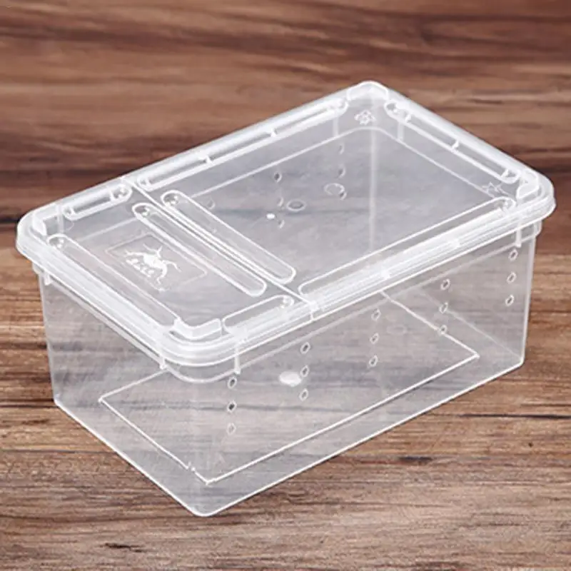 Reptile Feeding Box - Image 3