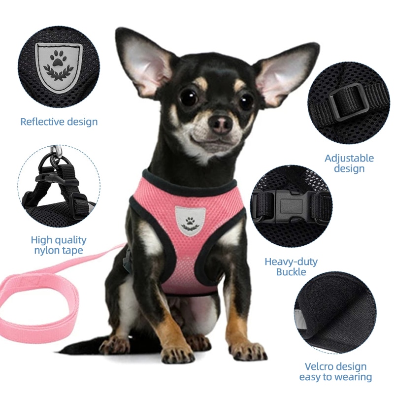 Dog Harness With Walking Leash - Image 3