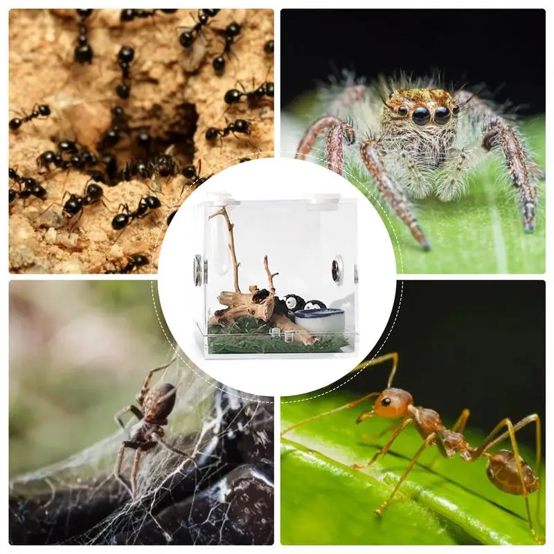 1PCS Reptiles Breeding Box - Image 4