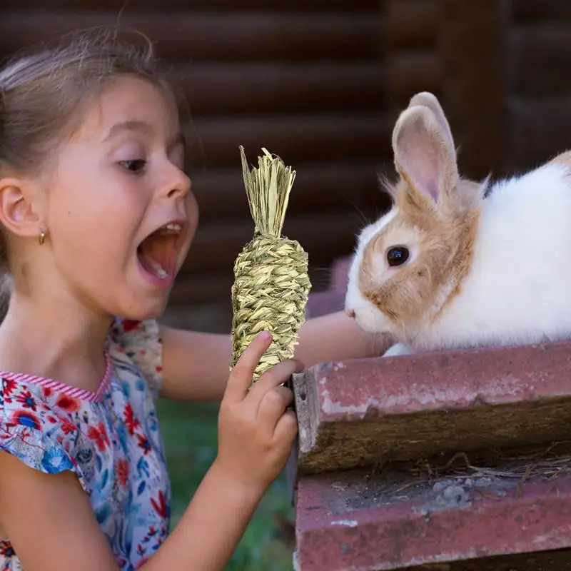 Grass Ball Teeth Grinding Toy - Image 5