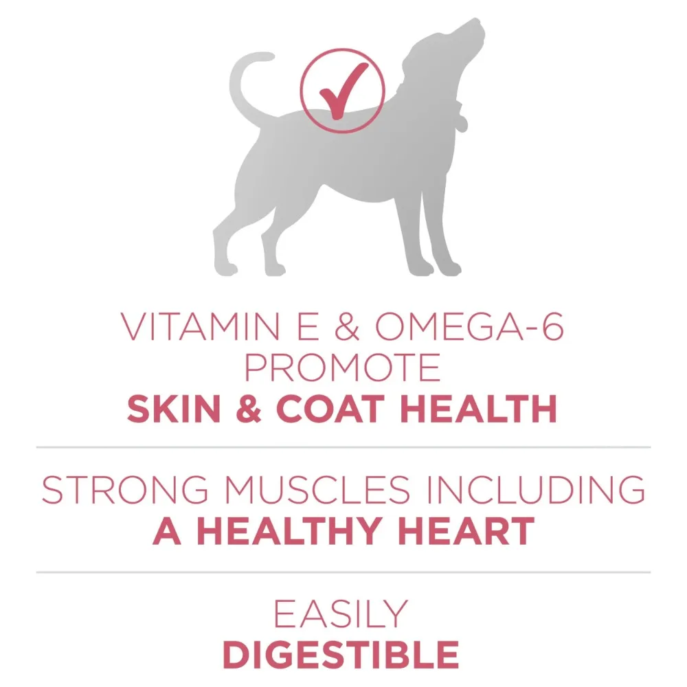 Purina One +Plus Dry Dog Food for Adult Dogs Skin & Coat, High Protein, Real Salmon, 31.1 lb Bag - Image 2