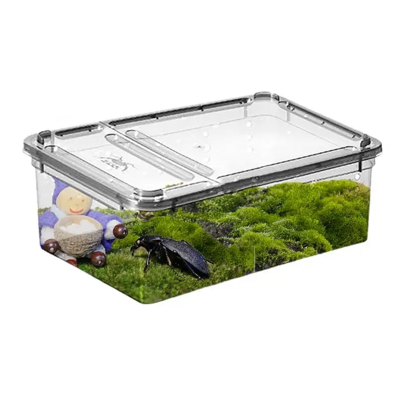 Reptile Feeding Box - Image 4