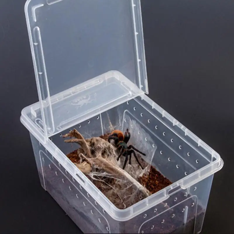 Reptile Feeding Box - Image 2