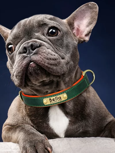 Customized Leather ID Nameplate Dog Collar Soft Padded Dogs Collars Free Engraving Name for Small Medium Large Dogs Adjustable