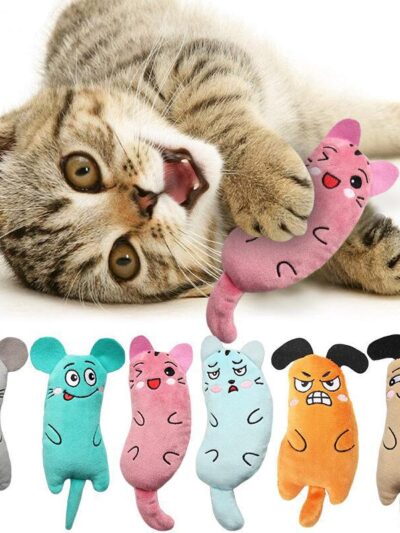 Cute Cat Toys Funny Interactive Plush Cat Toy Mini Teeth Grinding Catnip Toys Kitten Chewing Mouse Toy Pets Accessories