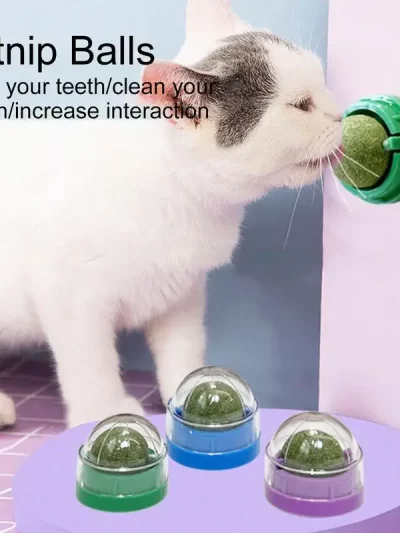 Catnip Wall Ball