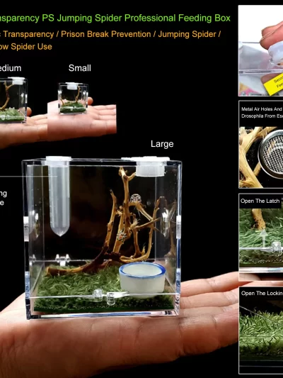 Reptiles Breeding Box Terrarium