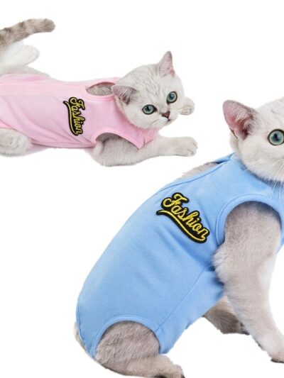 Fashionable Cat Shirt