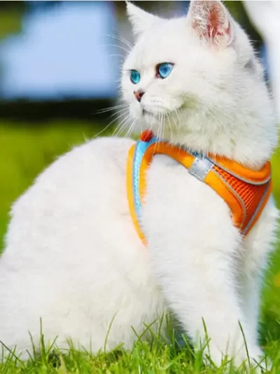 Reflective Adjustable Vest Harness Strap & Leash