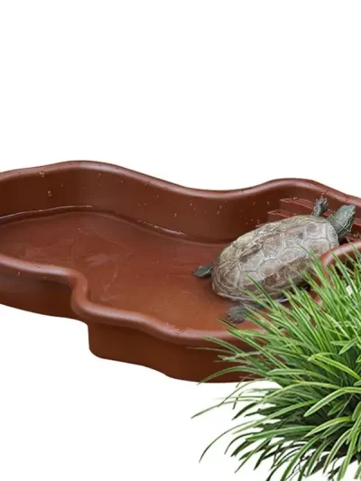 Turtle Feeding Dish