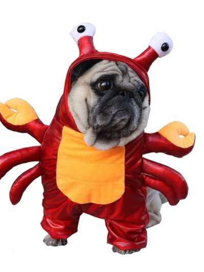 Red Crab Costume