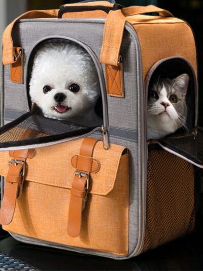 Breathable Mesh Dog Backpack Carrier