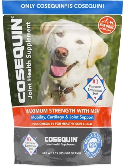 Joint Health Supplement for Dogs - With Glucosamine, Chondroitin, MSM, and Omega-3's, 120 Soft Chews