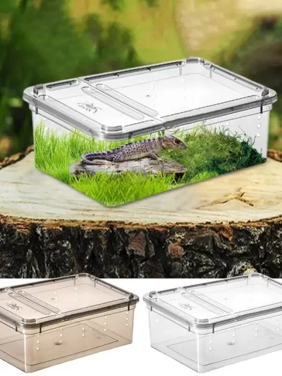 Terrarium For Reptiles