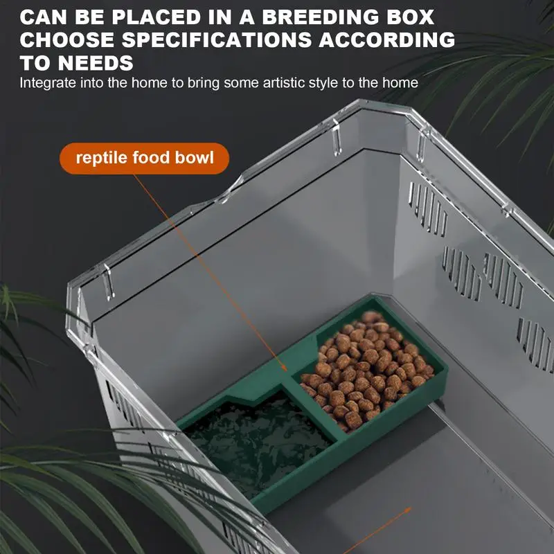 Reptile Feeder Water Food Feeding Plastic Bowl - Image 3