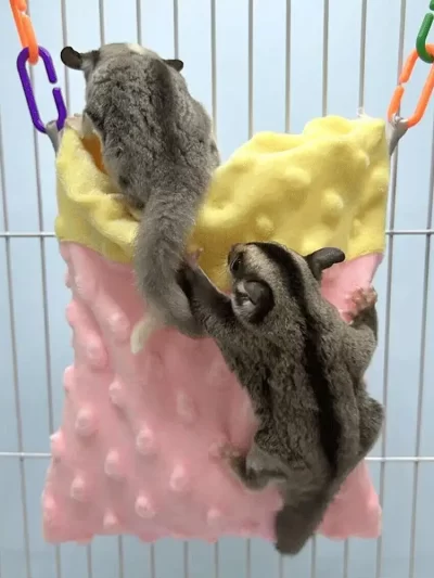 Sugar Glider Hanging Hammock