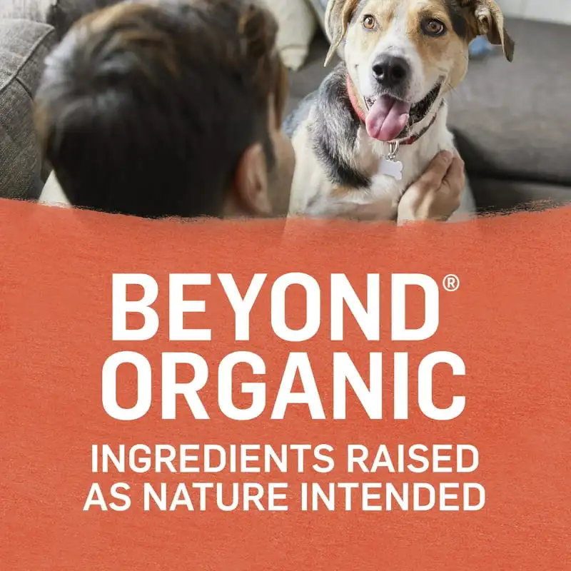 Organic Wet Dog Food Chicken Sweet Potato, 13 oz Cans (12 Pack) - Image 3